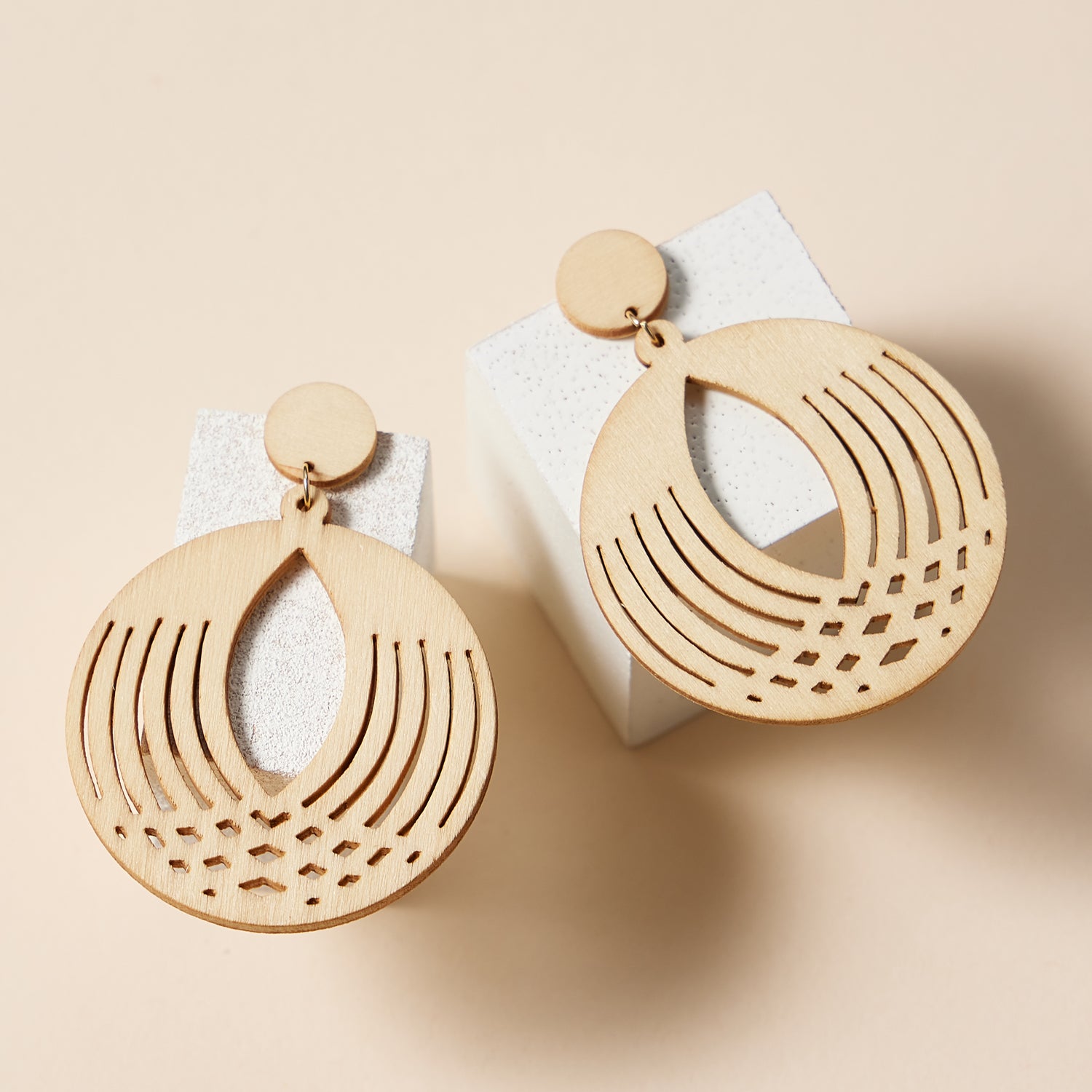 Modern Geometric Circle | Earrings in Earthy Tones