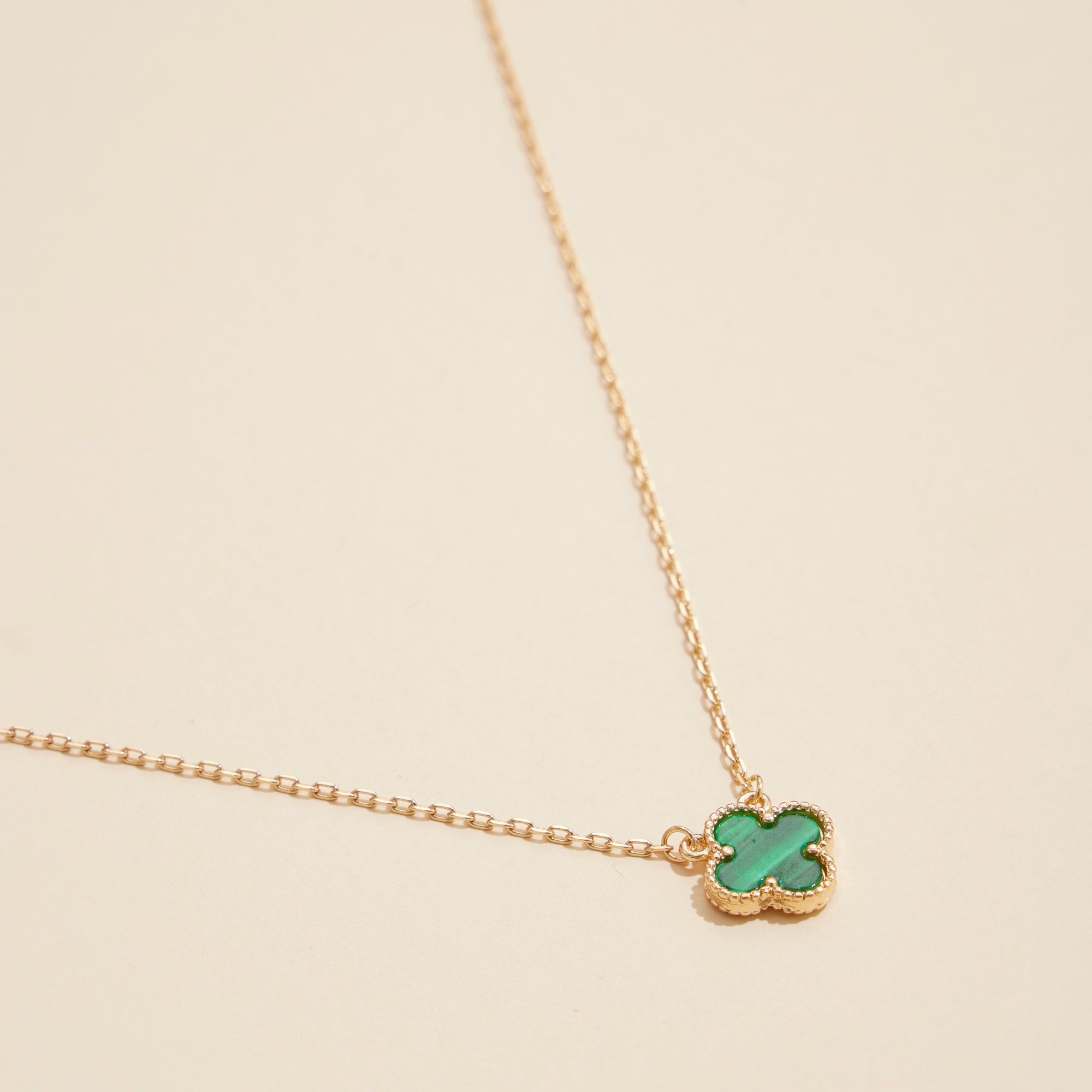 Gold Chain Necklace with Shell Pendant