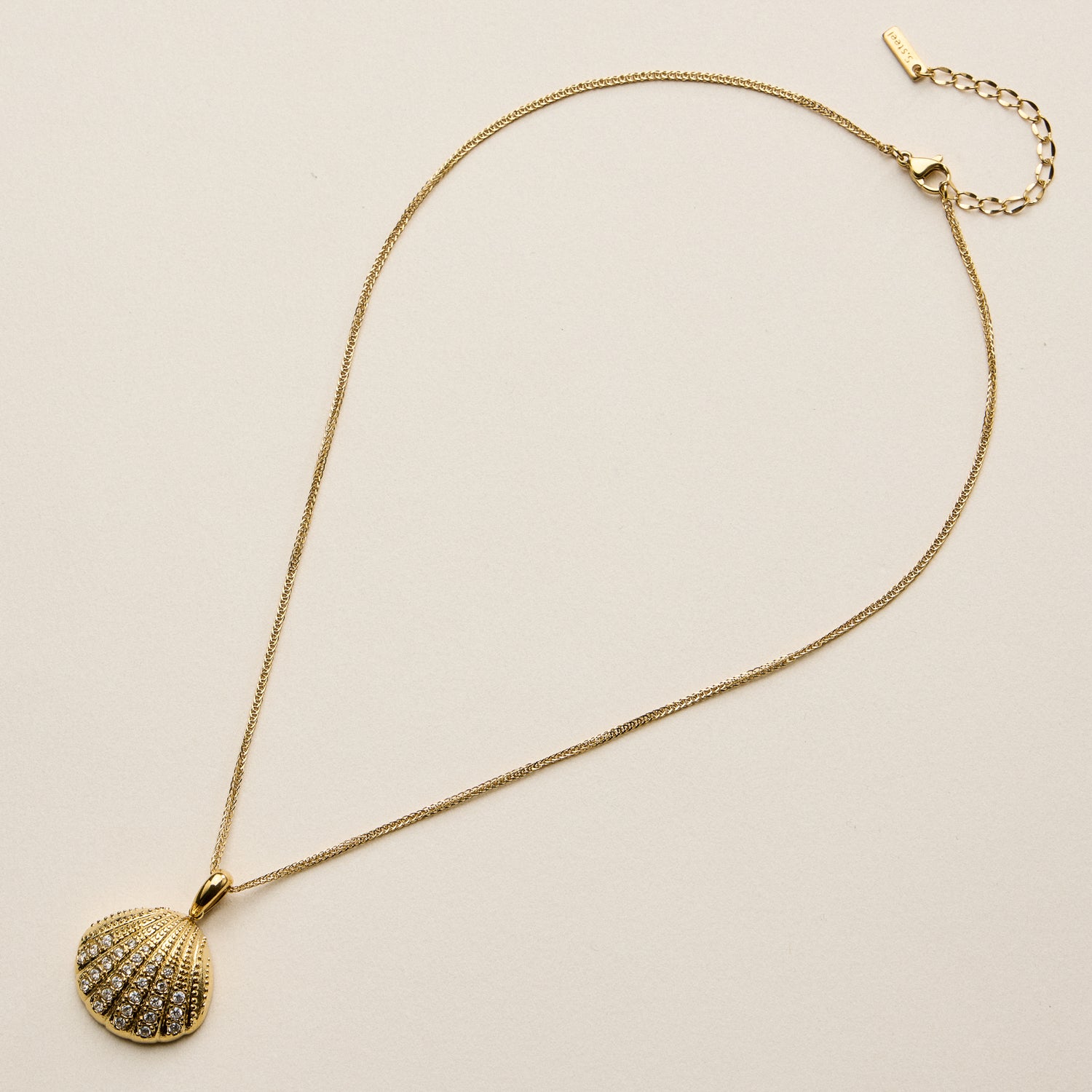 Stainless Steel Gold Coin Seashell Pendant Necklace