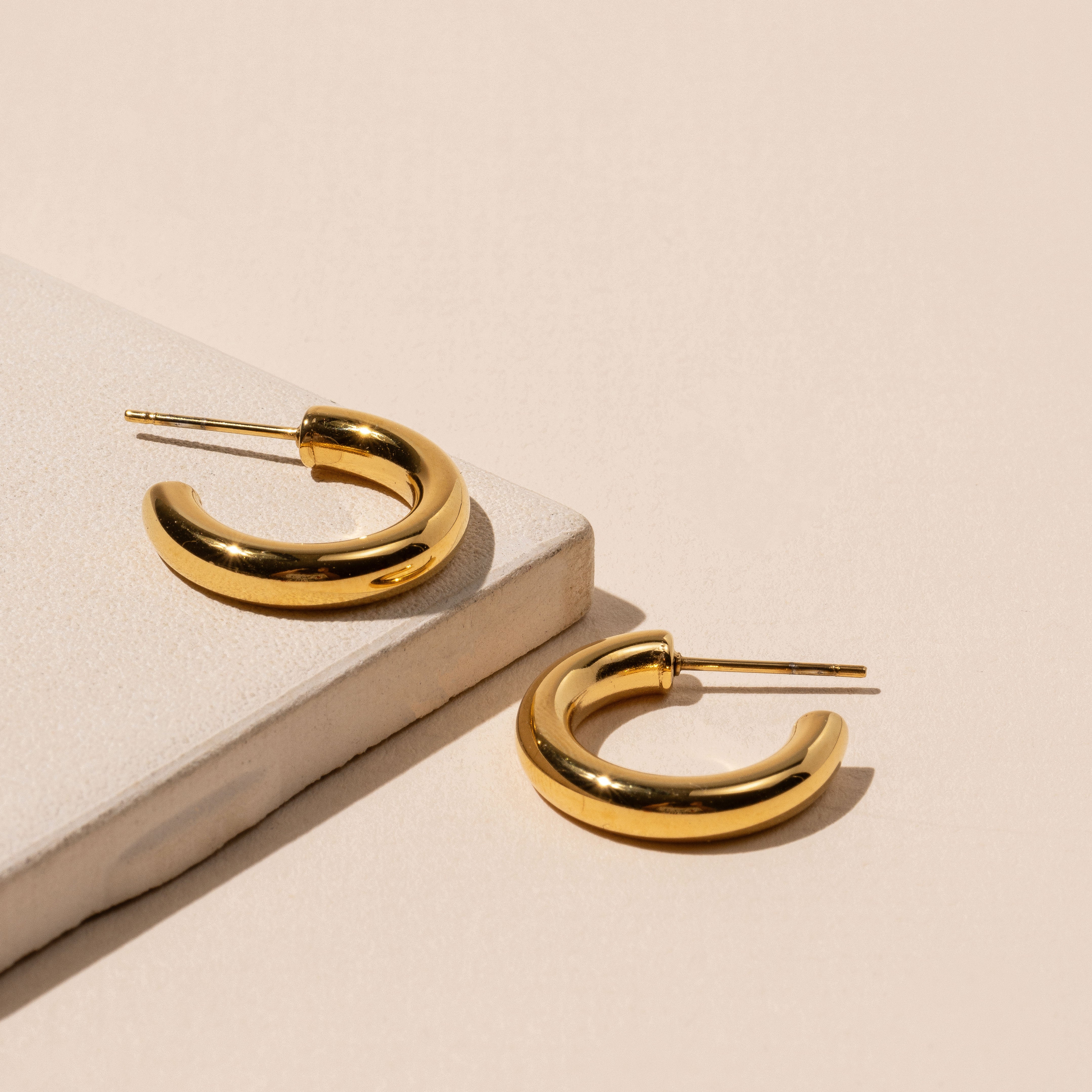 18K Gold Plated Stainless Steel Basic Hoop Earrings