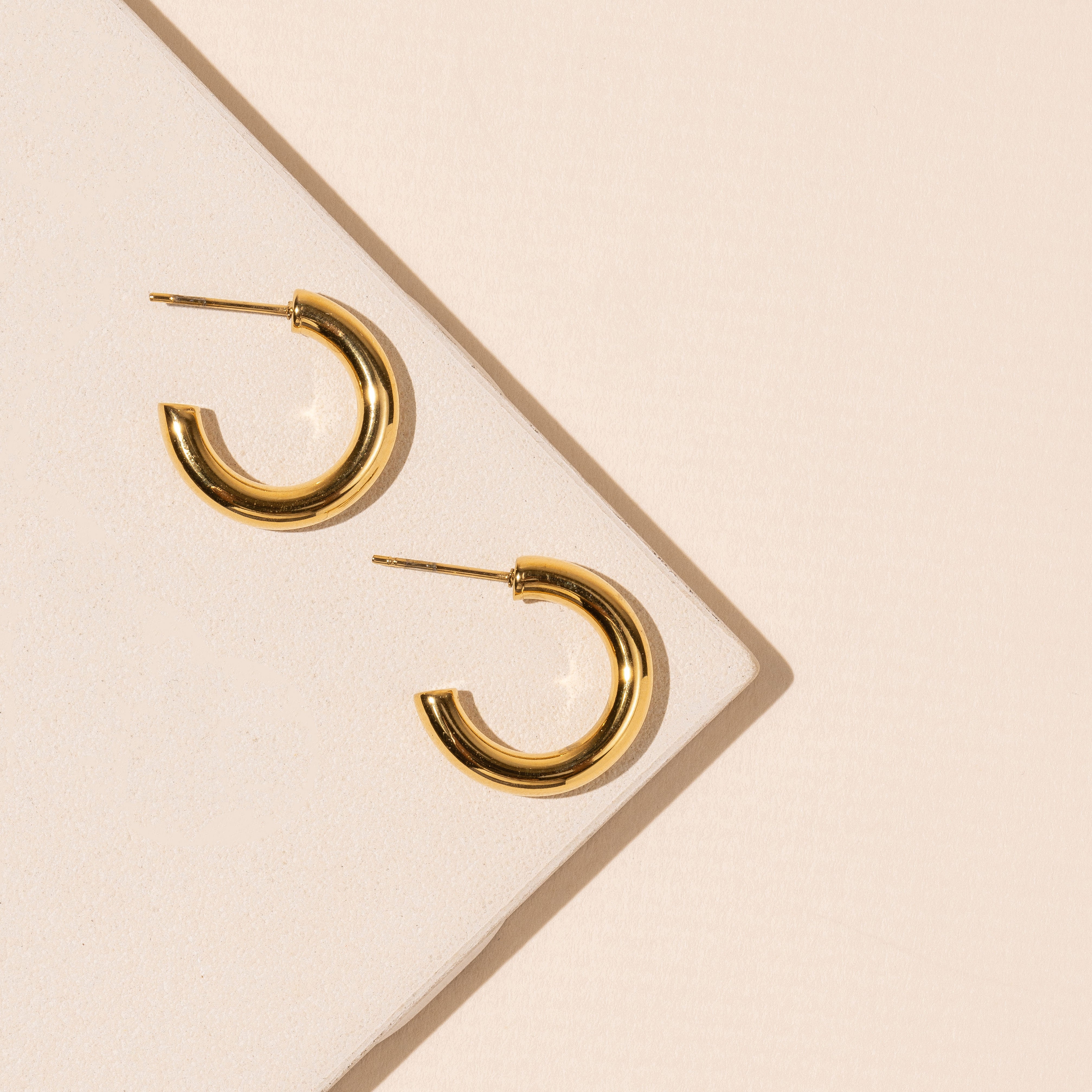 18K Gold Plated Stainless Steel Basic Hoop Earrings