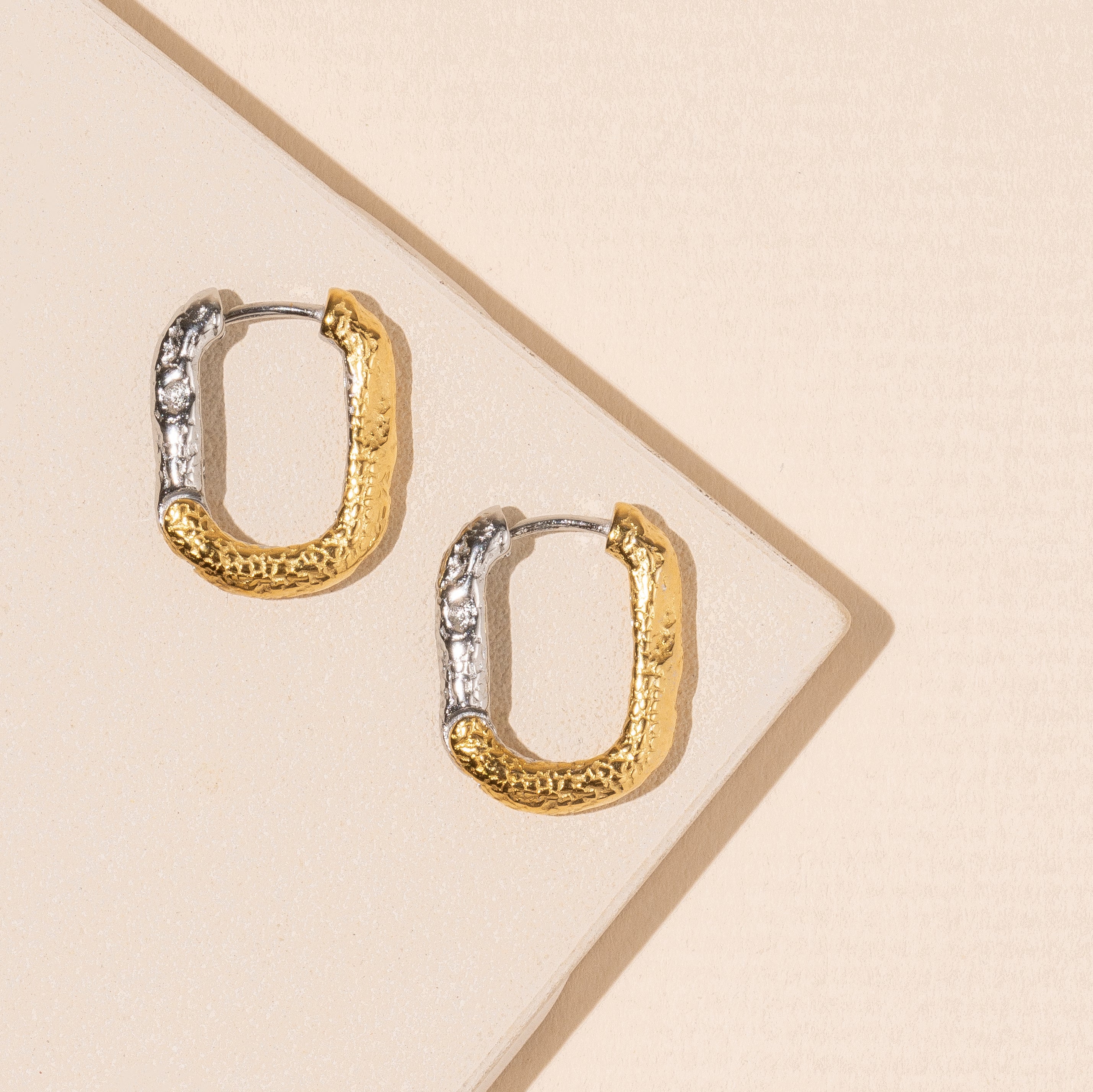 Two-Tone Classic 18K Gold Plated Stainless Earrings