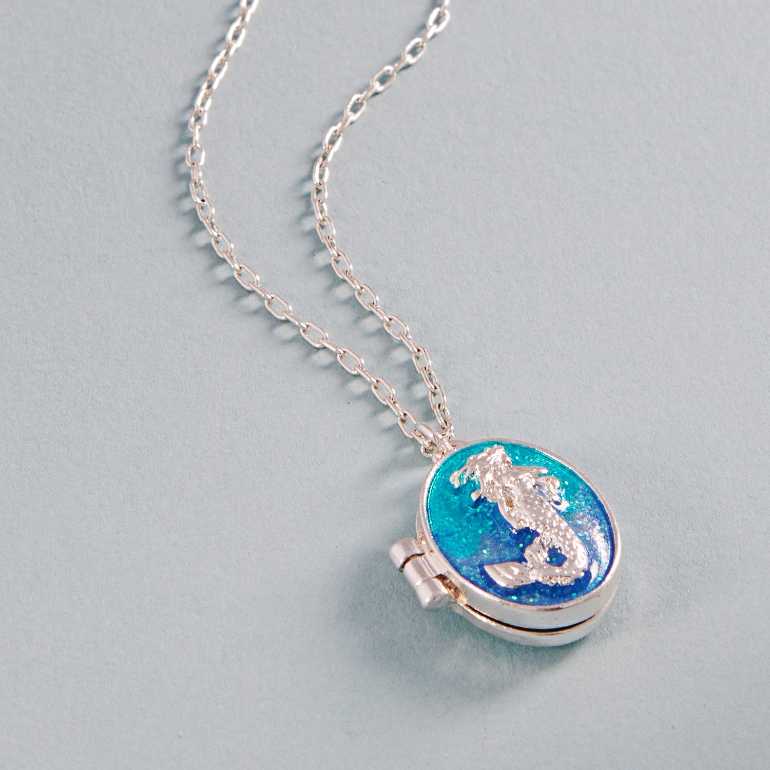 Seahorse Locket Necklace – Ocean-Inspired Silver Pendant with Hidden Charm