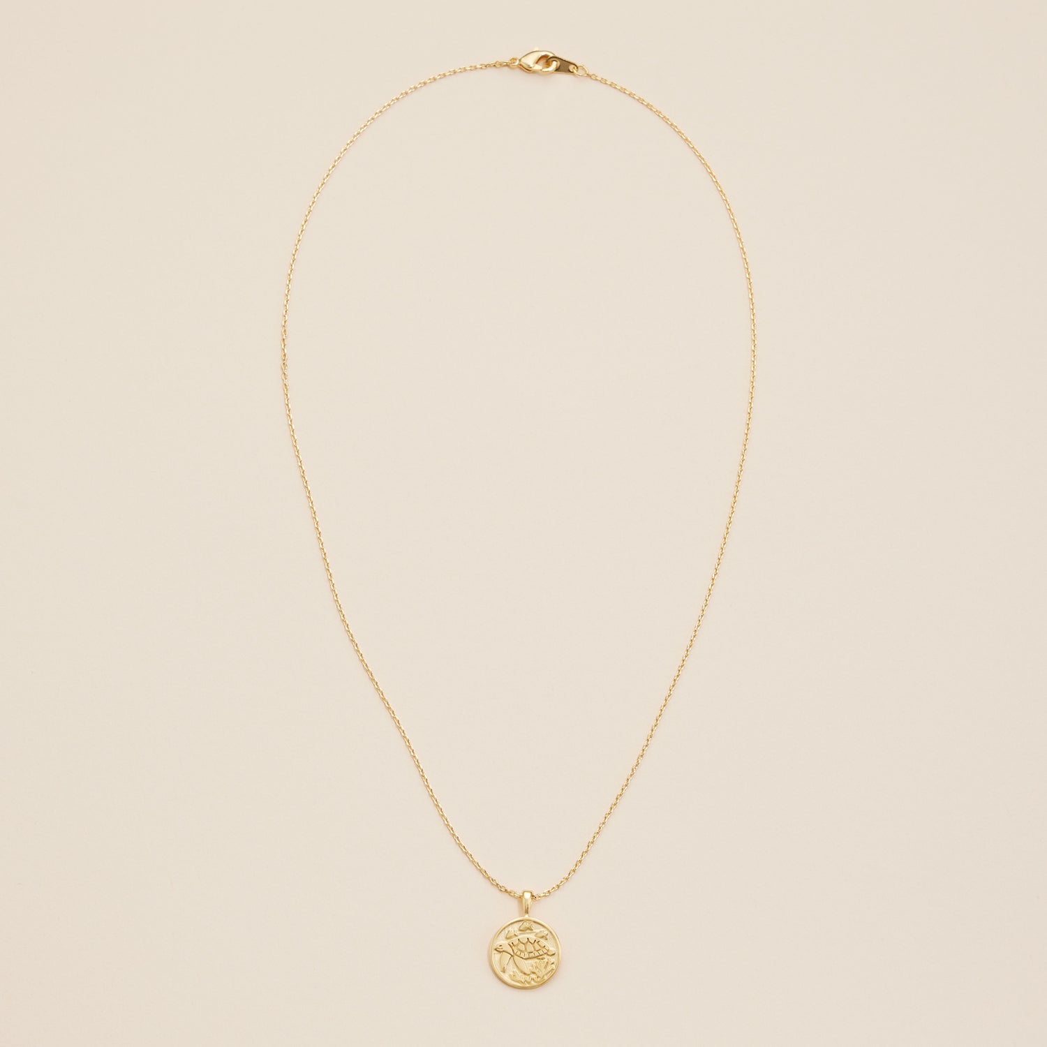 Gold-Dipped Turtle Coin Charm Necklace