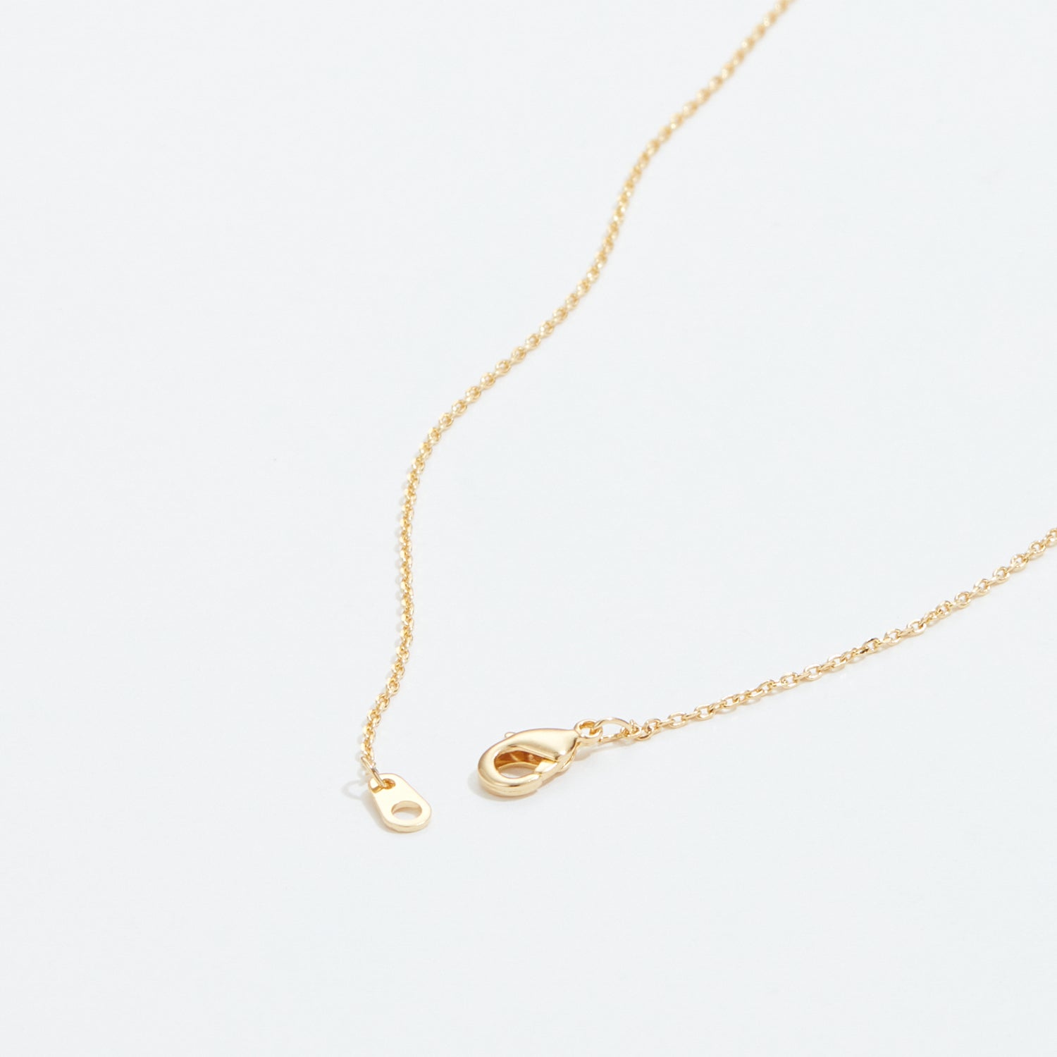 Gold Dipped Wishing Bone Necklace - Frem