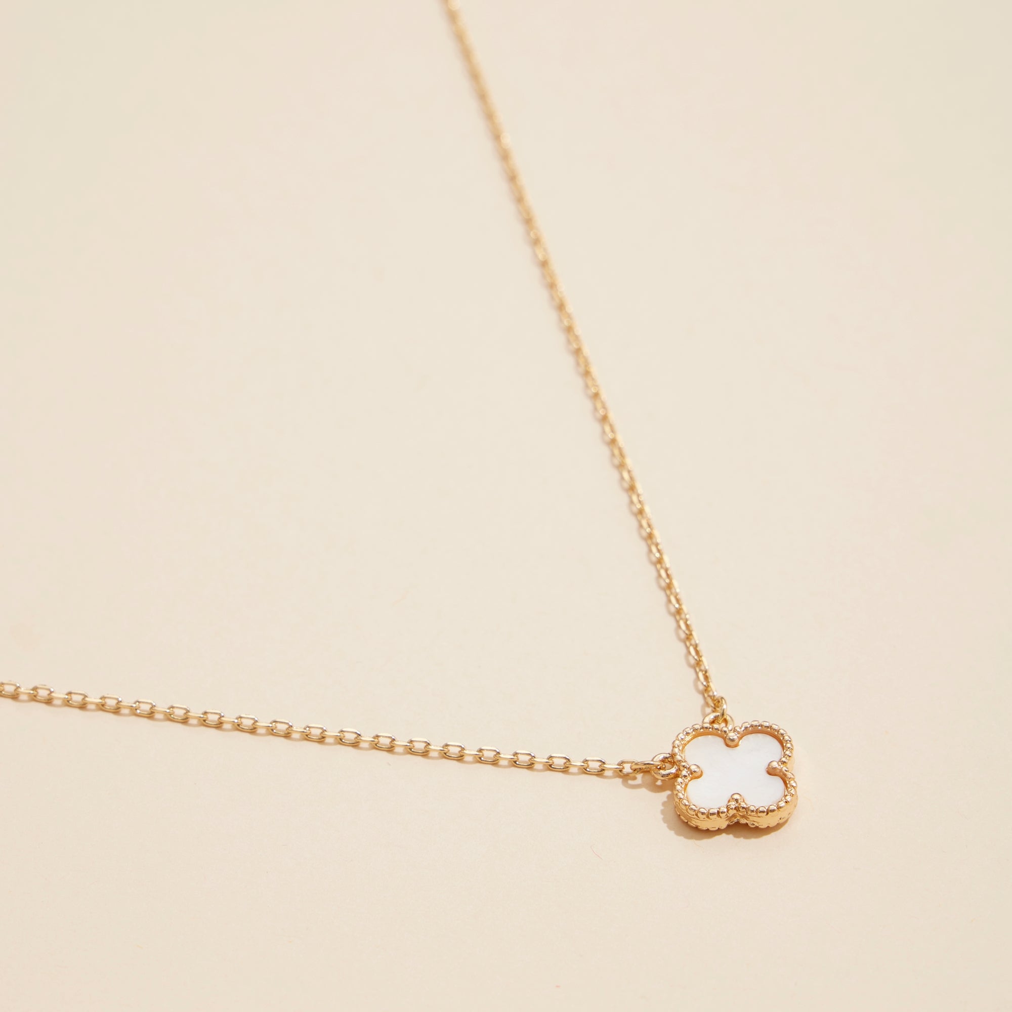 Gold Chain Necklace with Shell Pendant