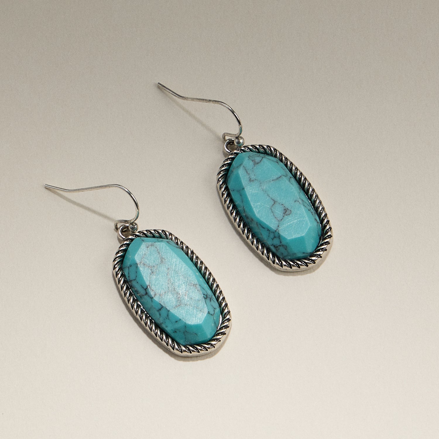Oval Turquoise Hook Drop Earrings