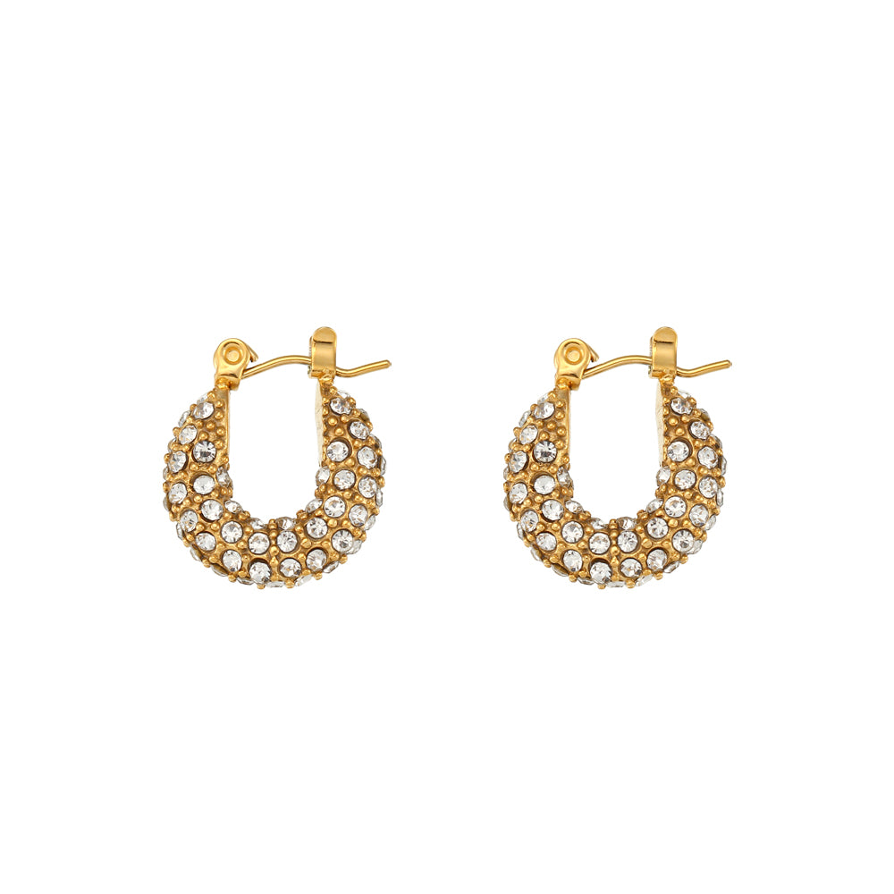 Clear Crystals 18K Gold Plated Stainless Earrings
