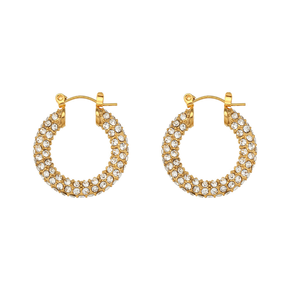 Clear Crystals 18K Gold Plated Stainless Earrings