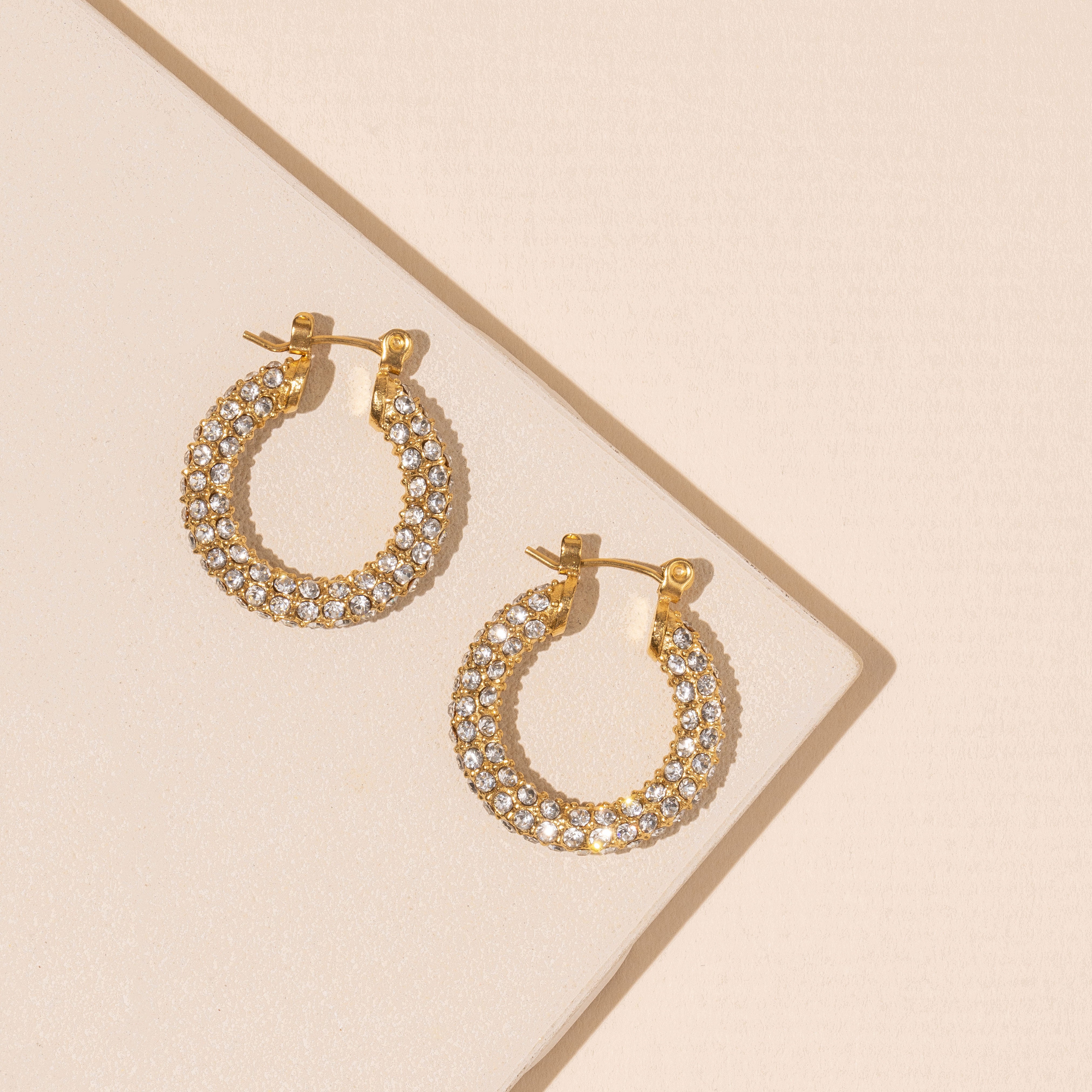 Clear Crystals 18K Gold Plated Stainless Earrings