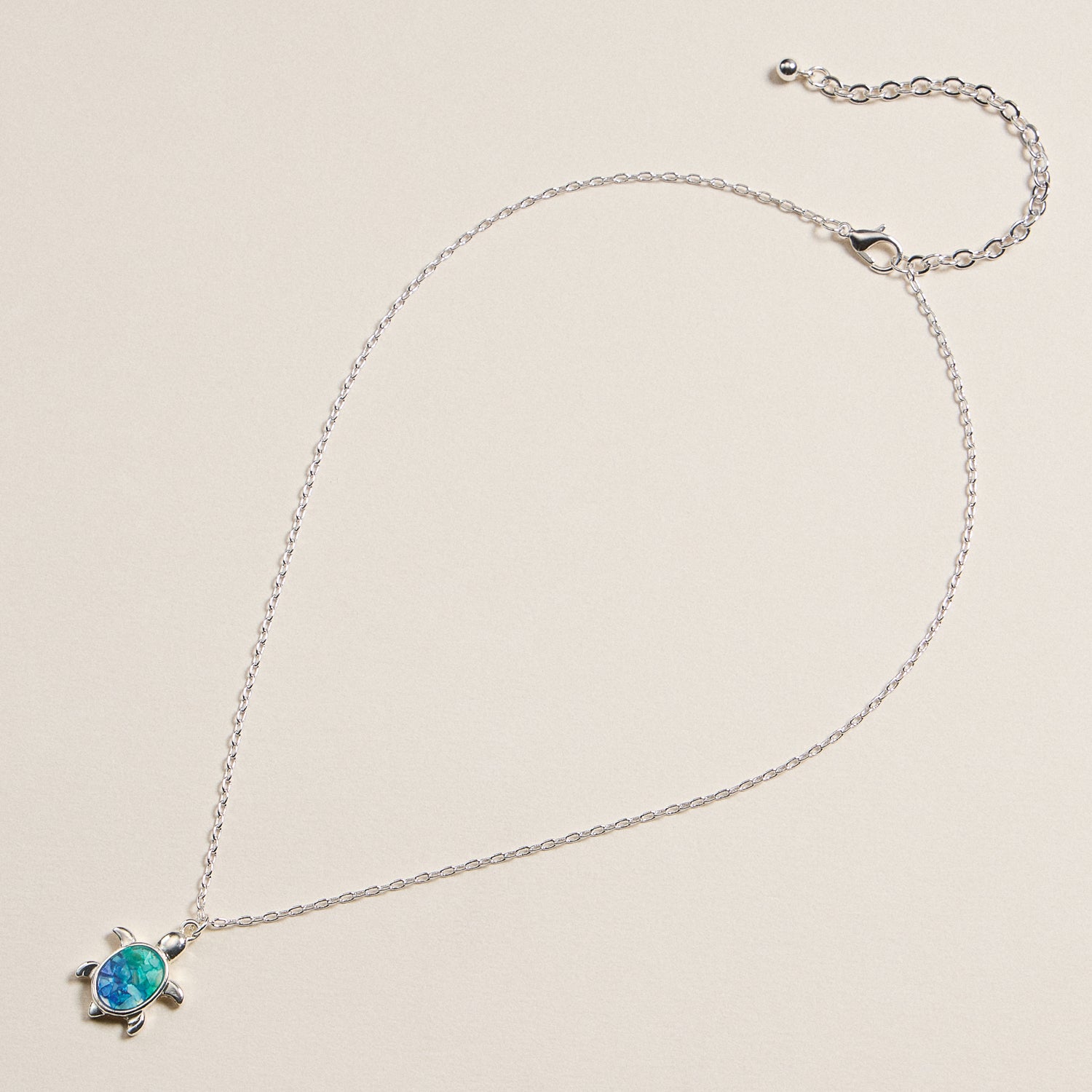 Silver-Tone Turtle Pendant Necklace with Enamel Detailing