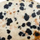 Dalmatian Jasper