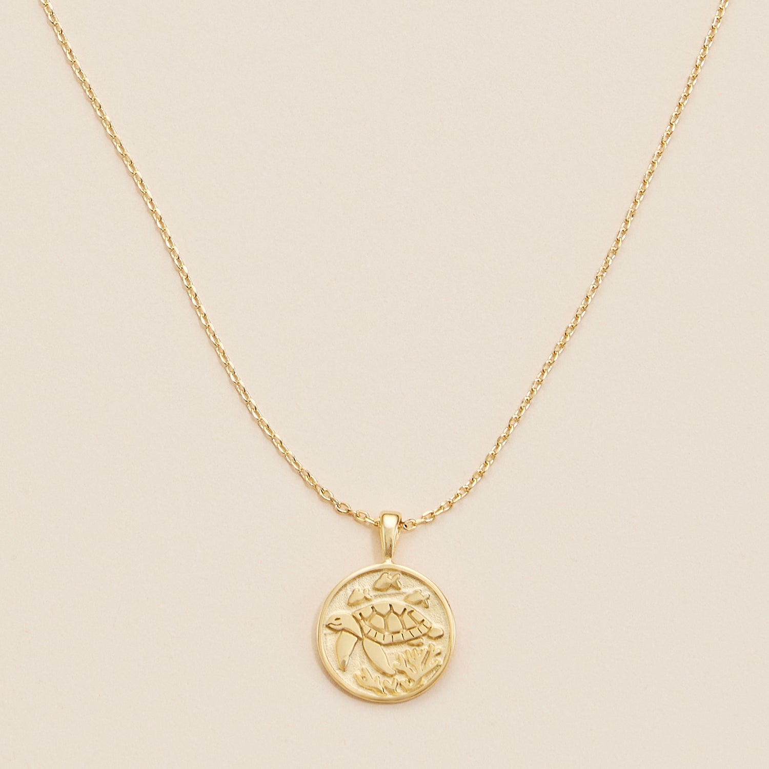 Gold-Dipped Turtle Coin Charm Necklace