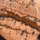 Picture Jasper