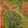 Unakite