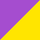 Purple / Yellow