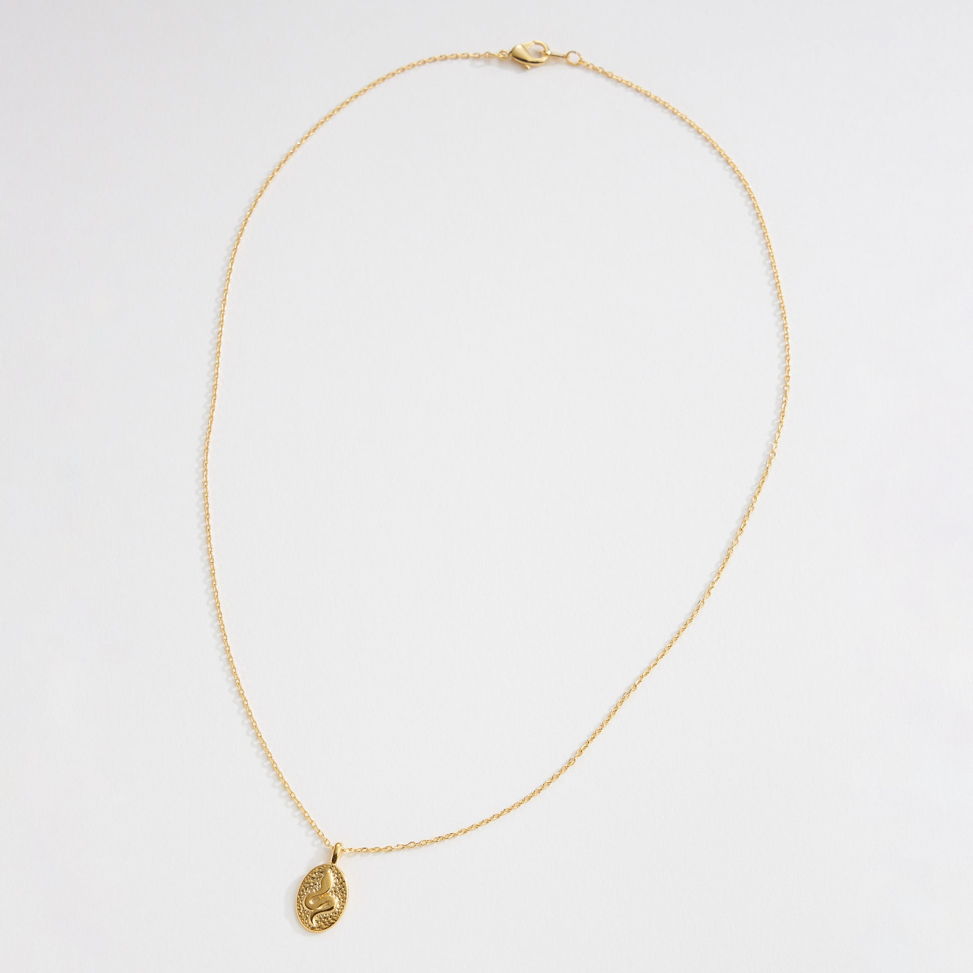 Gold Dipped Snake Pendant Necklace - Frem