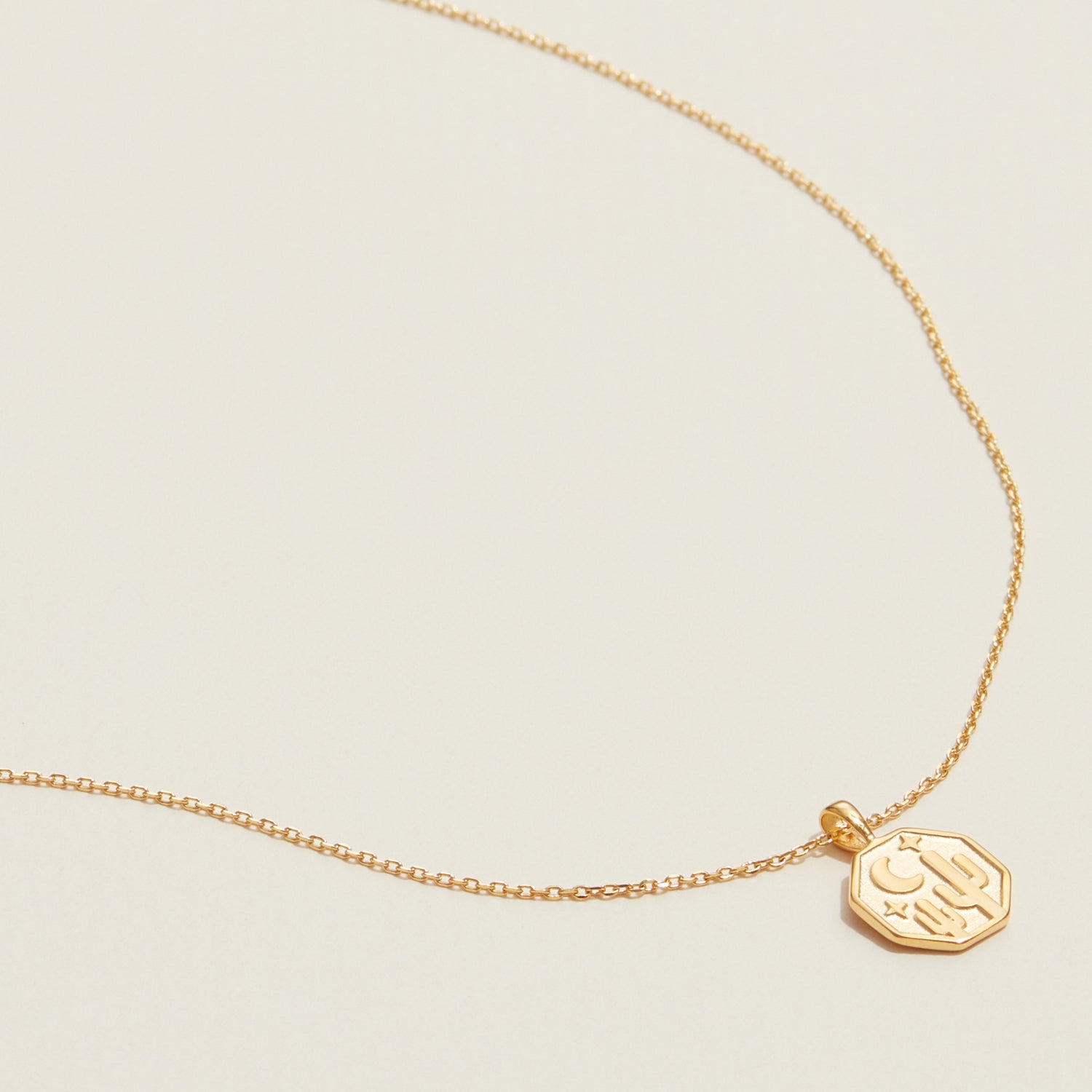 Gold Dipped Moon, Star, Cactus Pendant Necklace - Frem